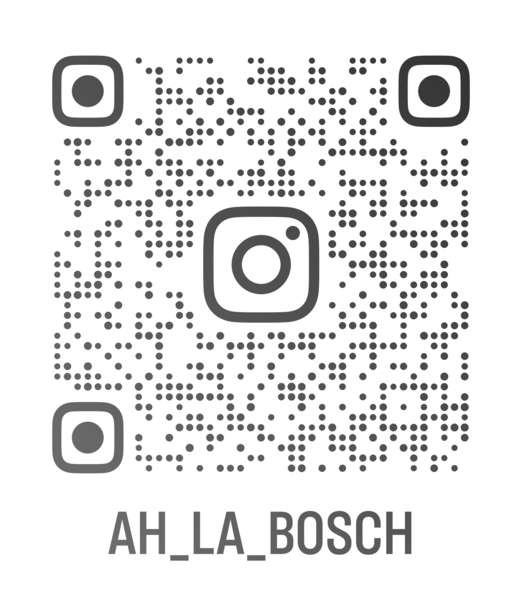 ah_la_bosch